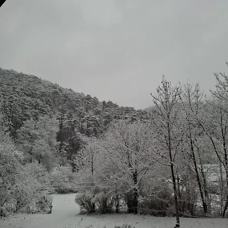 Apartman Wanderlust Family - Self Check-in, Near Area