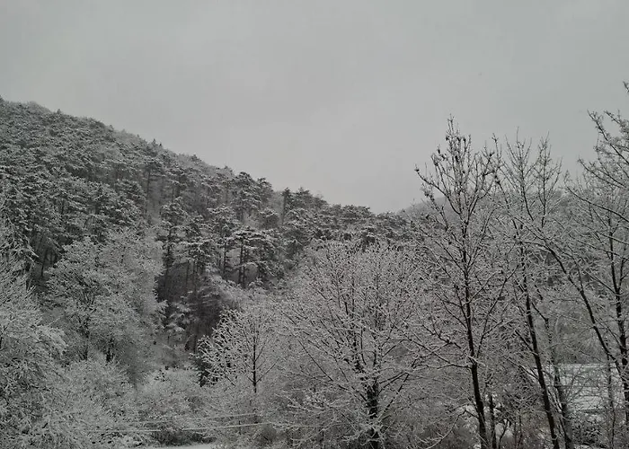 Appartement Wanderlust Family - Self Check-in, Near Area