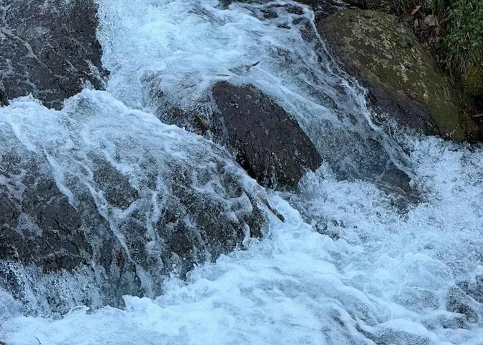 Apartman Wanderlust Family - Self Check-in, Near Area