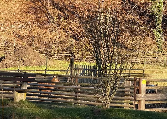 Wanderlust Family - Self Check-in, Near Area Stixenstein